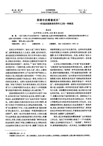 关于成长中的困惑的作文（《迷茫与坚持的对决》）