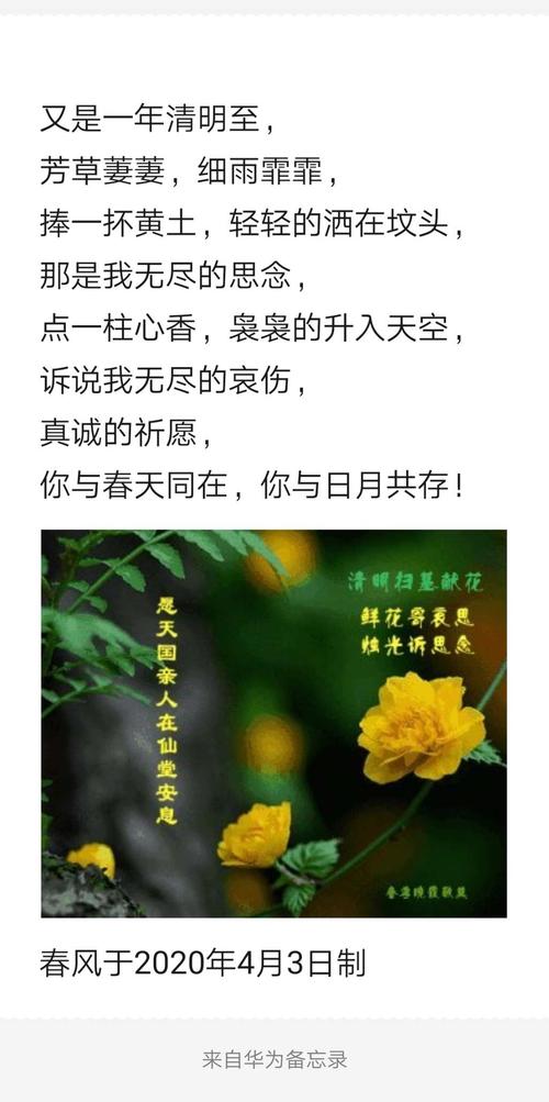 以清明节的怀念为话题的作文题目（《清明节的怀念》）