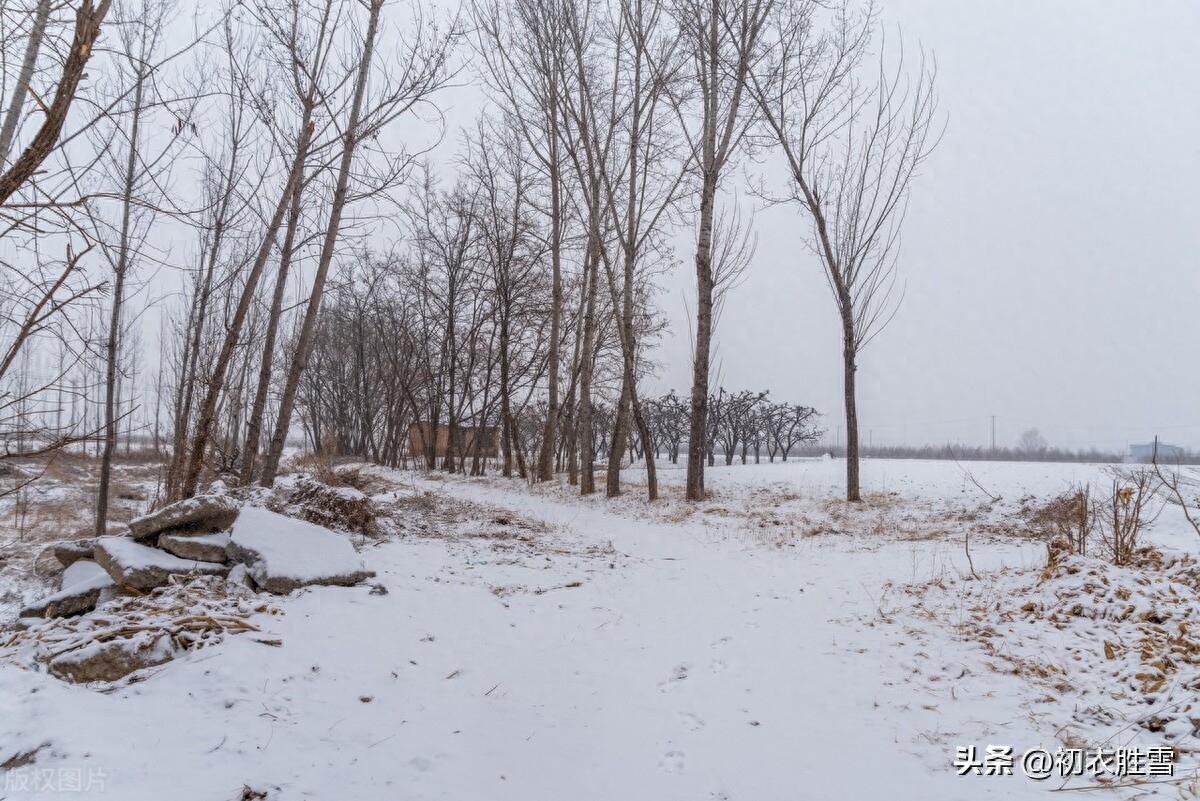 大雪唯美诗词大全（大雪节气腊前雪诗词五首）