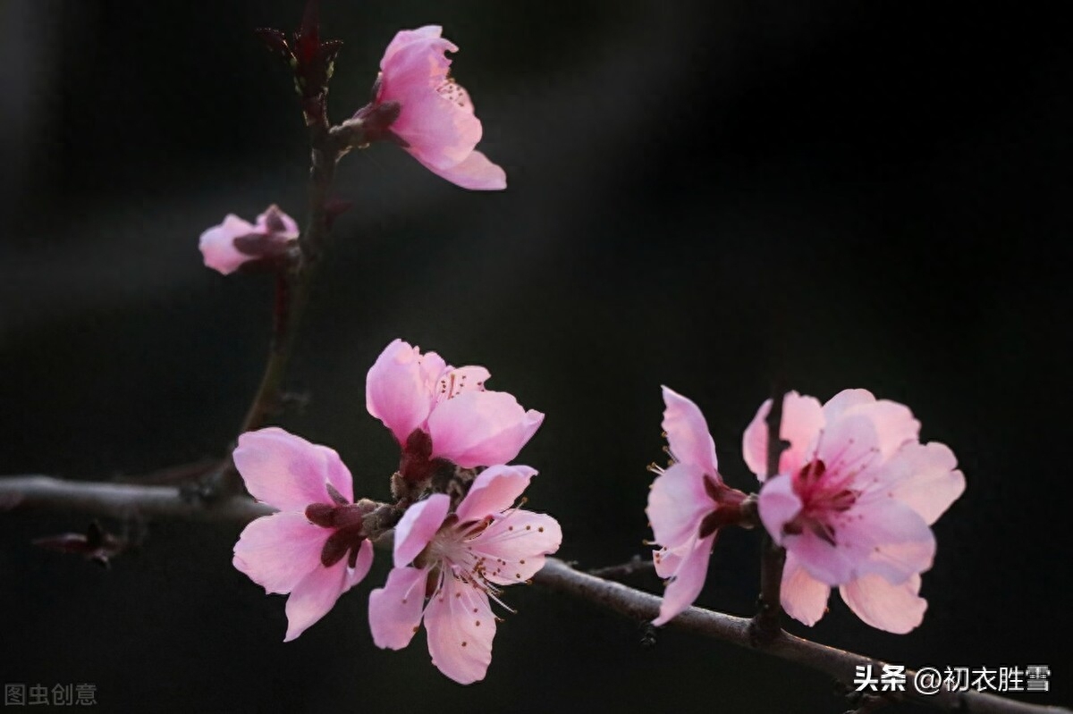 立冬的优美古诗词（小春天气恼人浓，野花犹向涧边红）