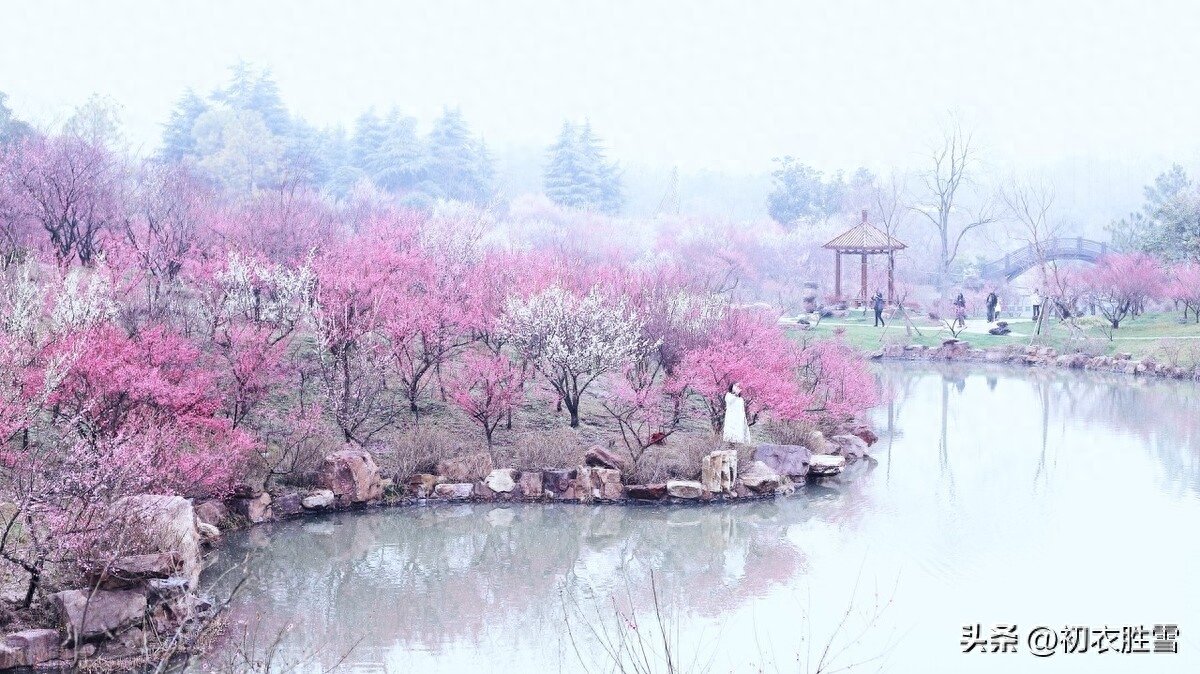 仲春二月花优美古诗六首（二月花堪爱，全开未落时）