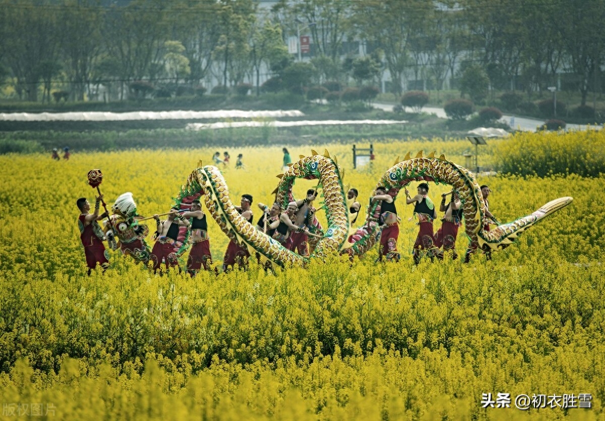 二月二日古诗八首赏析（二月二日天作雨，要占二月二朝晴）