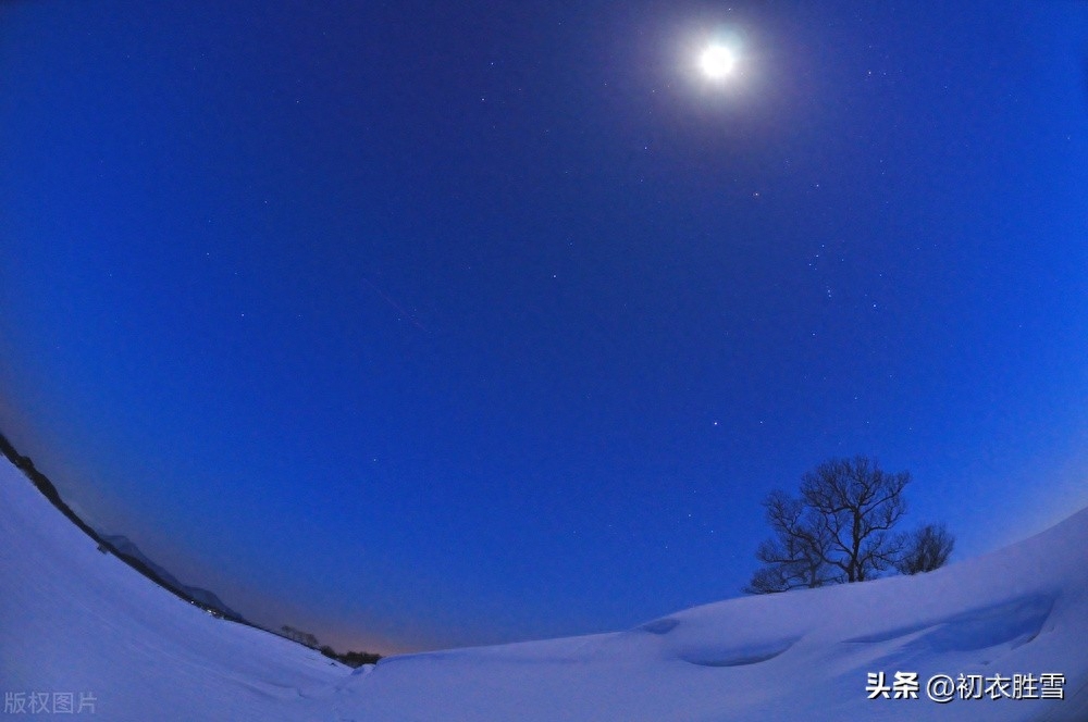 腊月十五明月唯美古诗词六首（吹灯窗更明，月照一天雪）