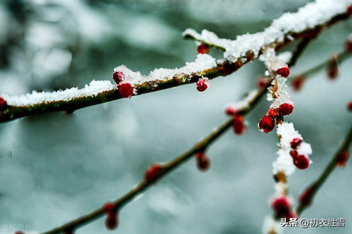 冬寒欲雪诗词绝句六首（江路清寒欲雪天，胸中浩浩正春生）