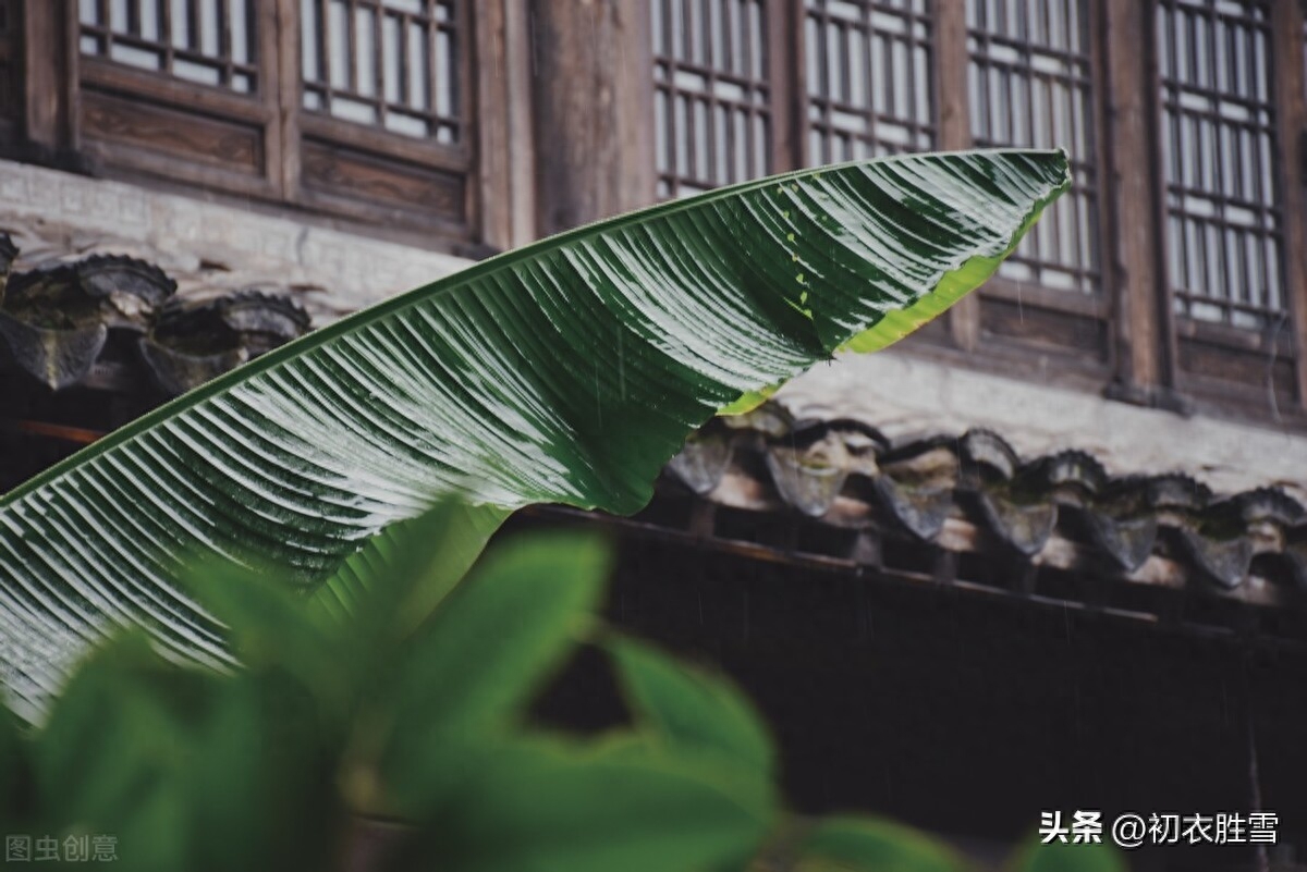 仲秋八月秋雨美诗五首（过山秋雨响临池，秋雨新晴水自波）