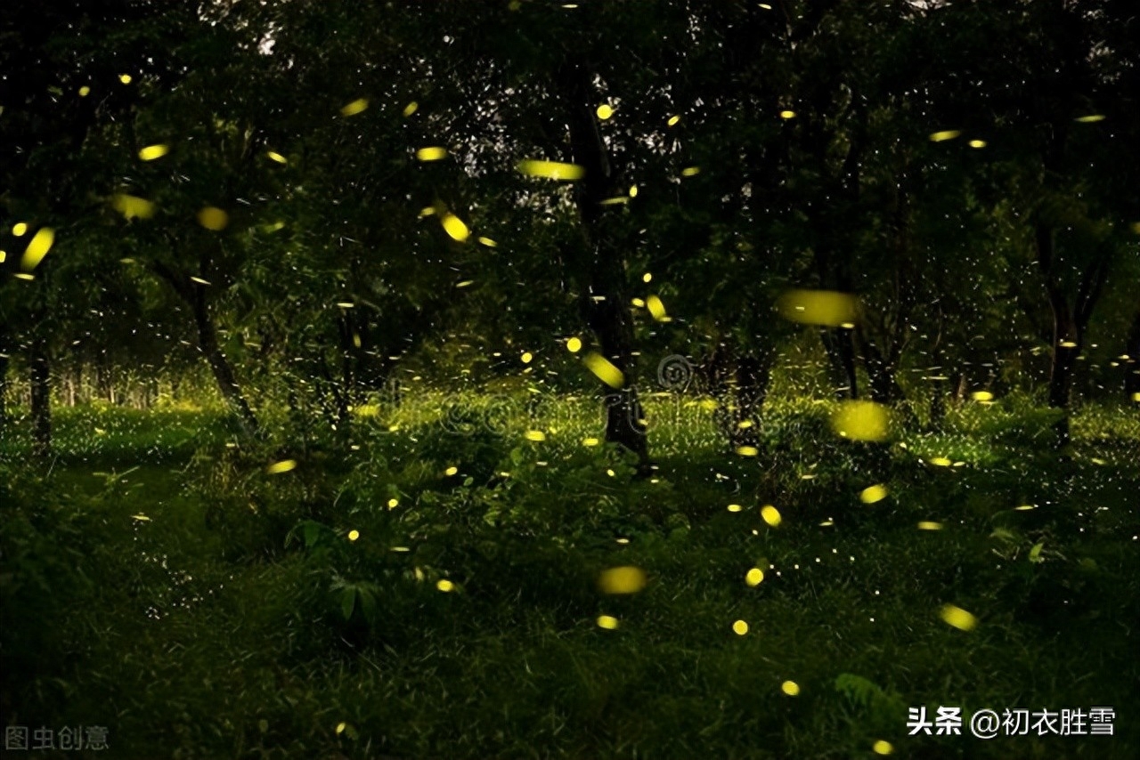 稻花唯美诗词大全（最是稻花莲叶里，乱飞萤火似繁星）