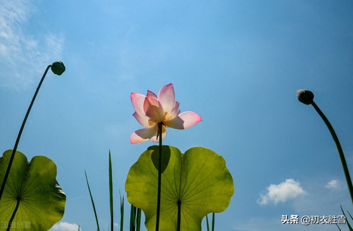 二十四节气之大暑诗词五首（大暑三秋近，萤火照空时）