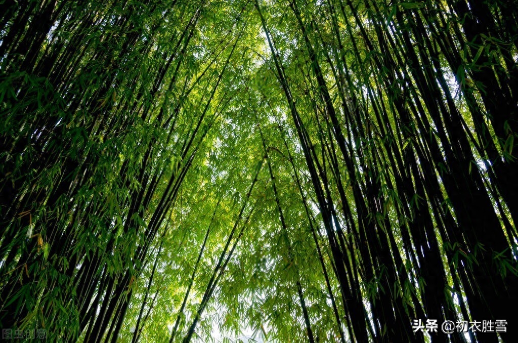 ​仲夏苦热经典古诗六首（仲夏苦郁蒸，挥汗白雨翻）