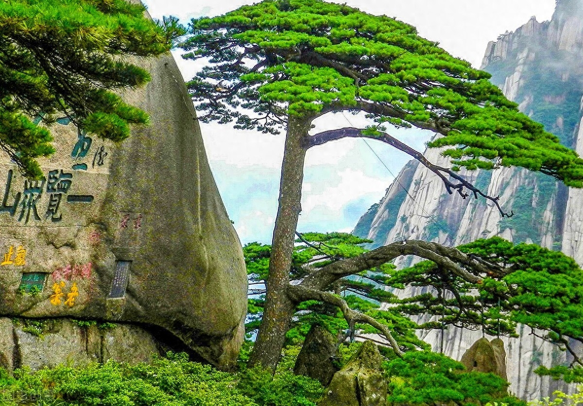 夏诗九夏唯美诗词八首（竹风秋九夏，溪月昼三更）