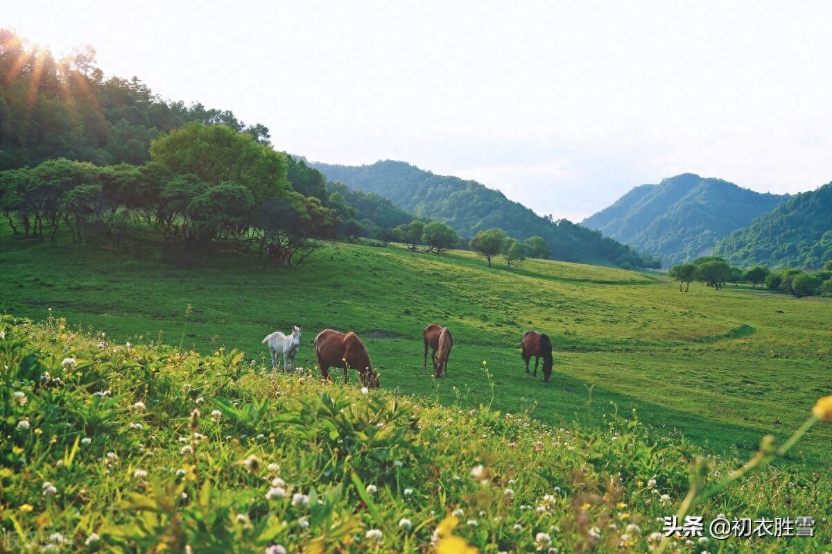 夏诗九夏唯美诗词八首（竹风秋九夏，溪月昼三更）