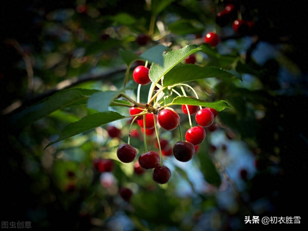 田园唯美诗词有哪些（仲夏田园美诗五首）