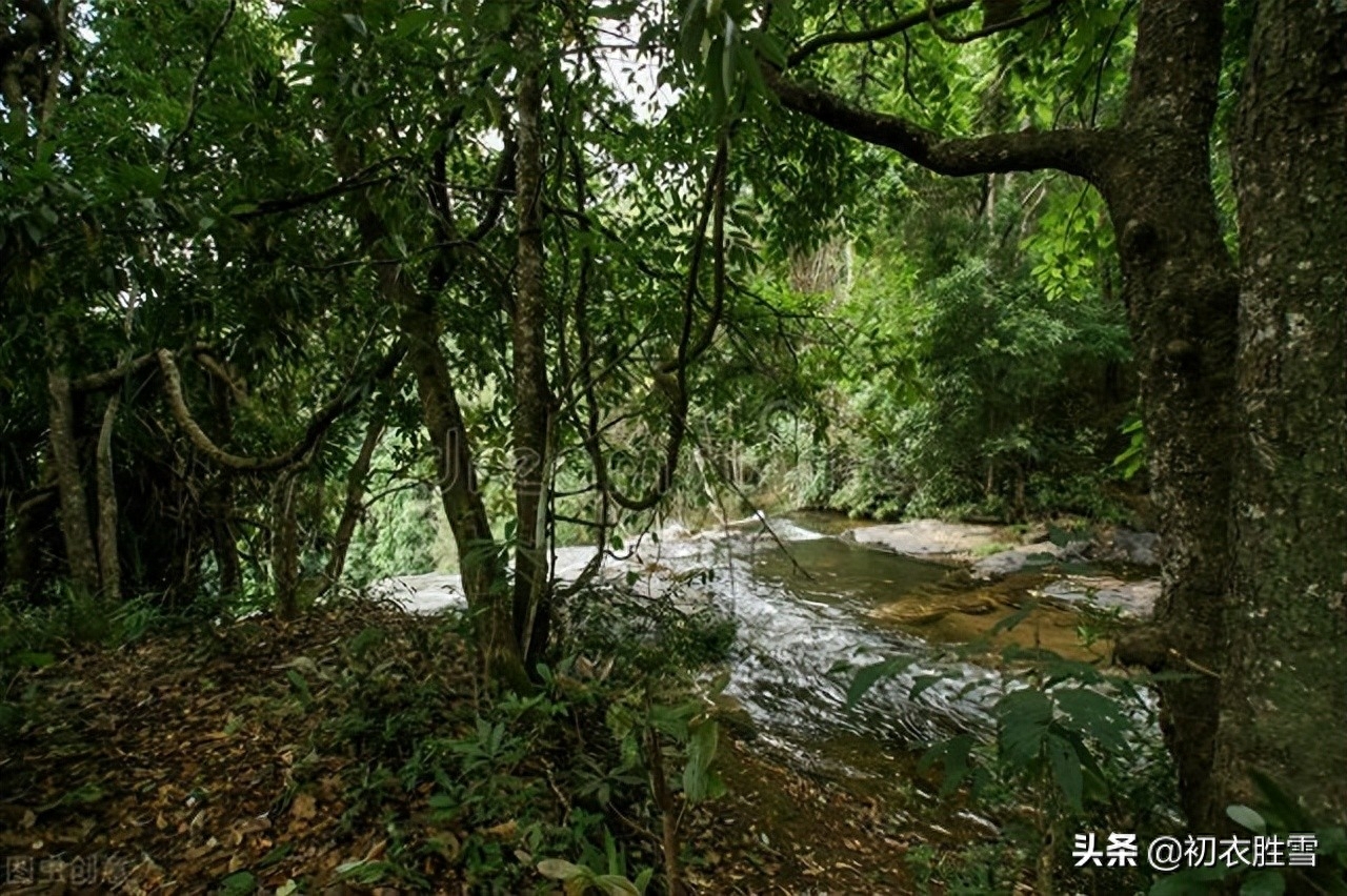 初夏唯美诗词大全（初夏清丽绝句六首）