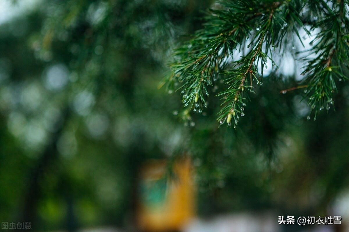 雨水经典诗词有哪些（初夏雨水美诗八首）