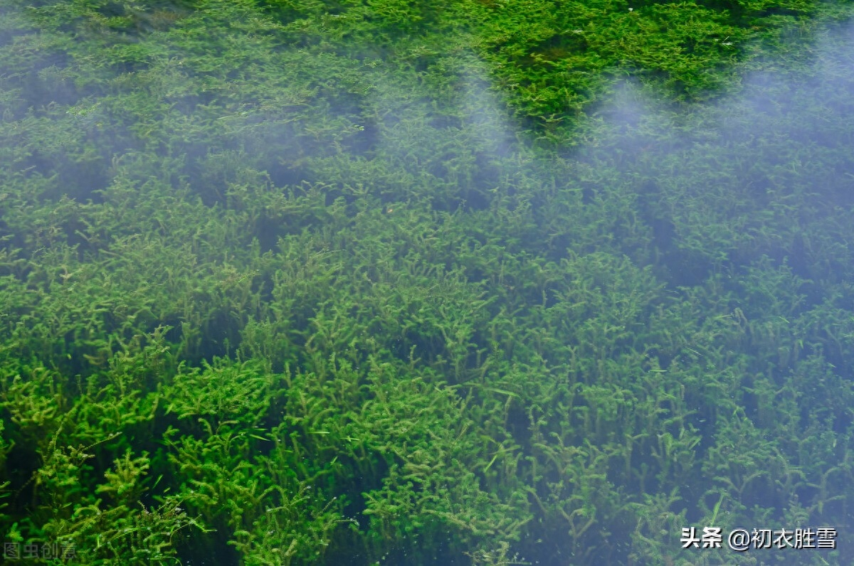 夏至节气古诗大全（立夏明丽美诗七首）