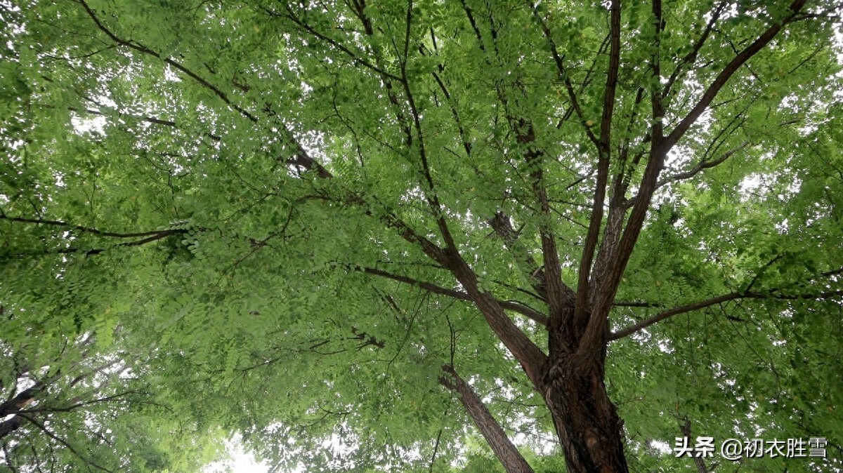 夏至节气古诗大全（立夏明丽美诗七首）