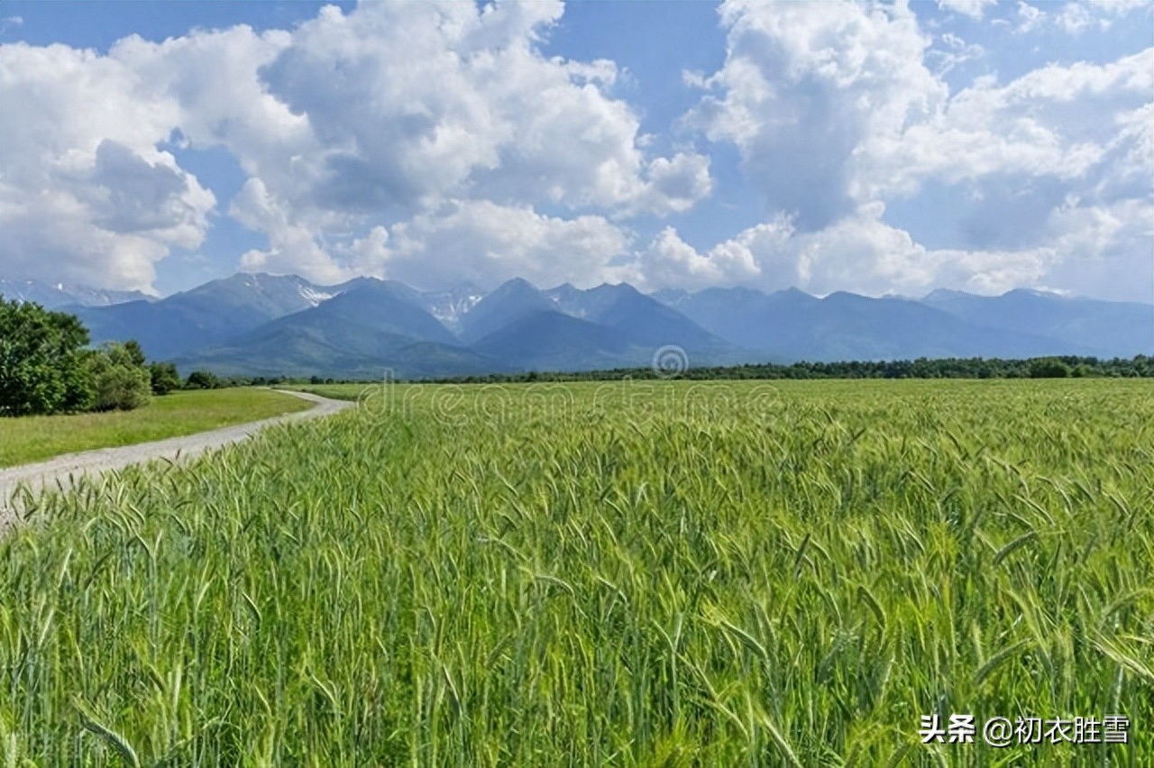 二十四节气立夏经典诗词（朱明盛长，甫与万物）