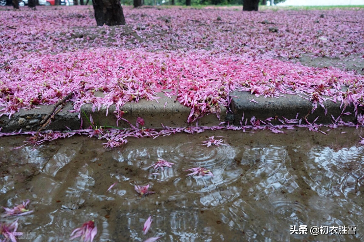 落花经典古诗有哪些（辛弃疾晚春风雨落花两首）