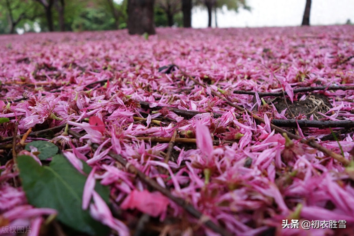 落花经典古诗有哪些（辛弃疾晚春风雨落花两首）