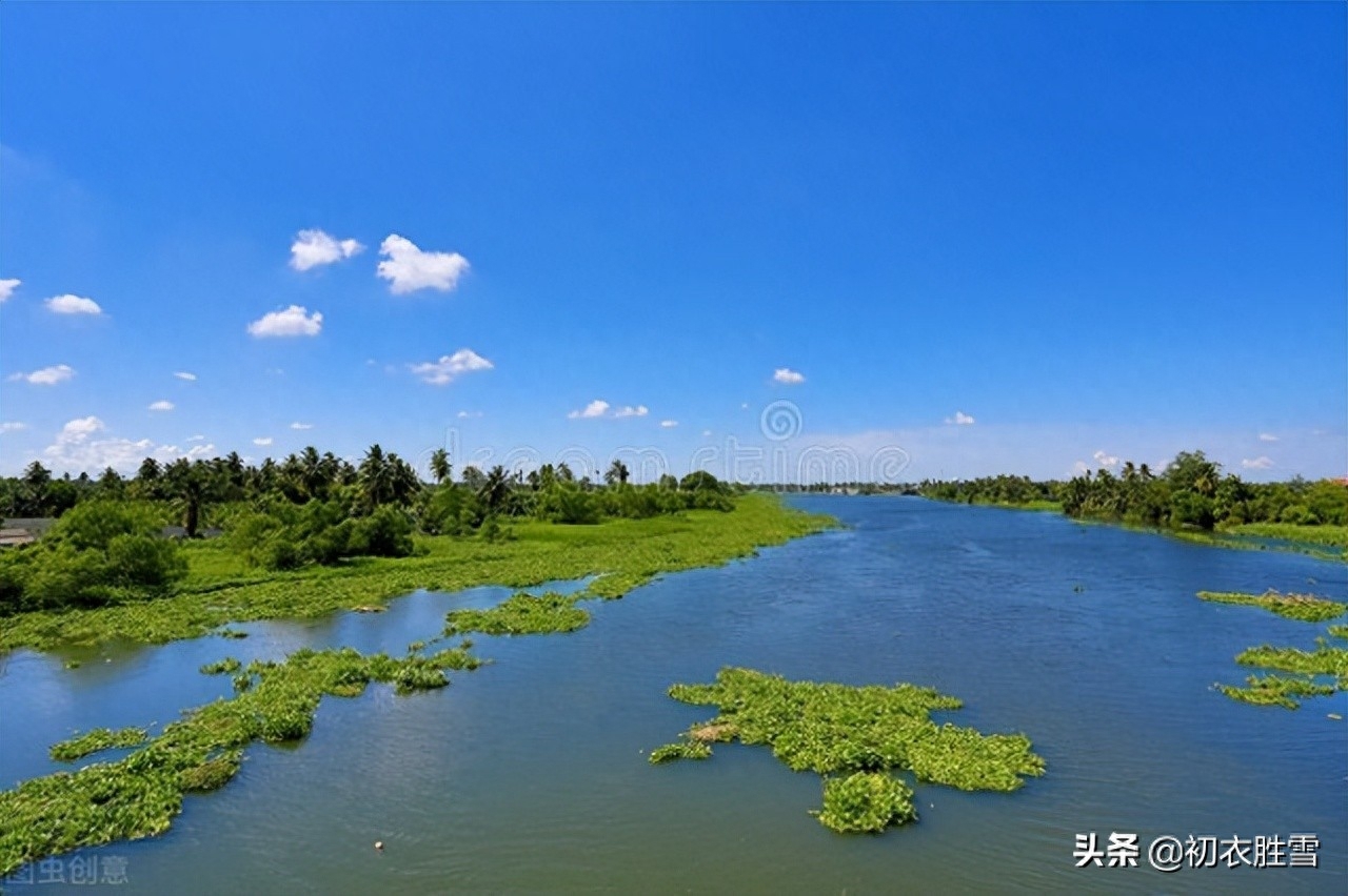 浮萍的经典诗词古句（浮萍古诗十一首赏析）