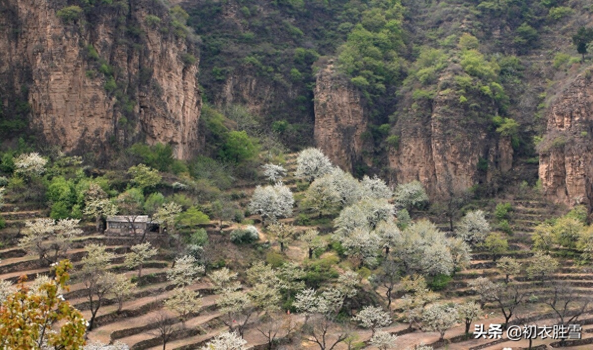 寒食节经典古诗大全（白居易寒食节六首）