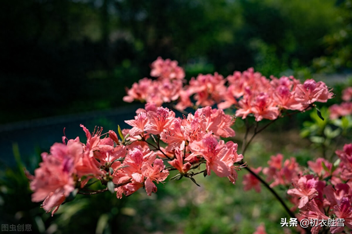 寒食节经典古诗大全（寒食节清明节唐诗七首）