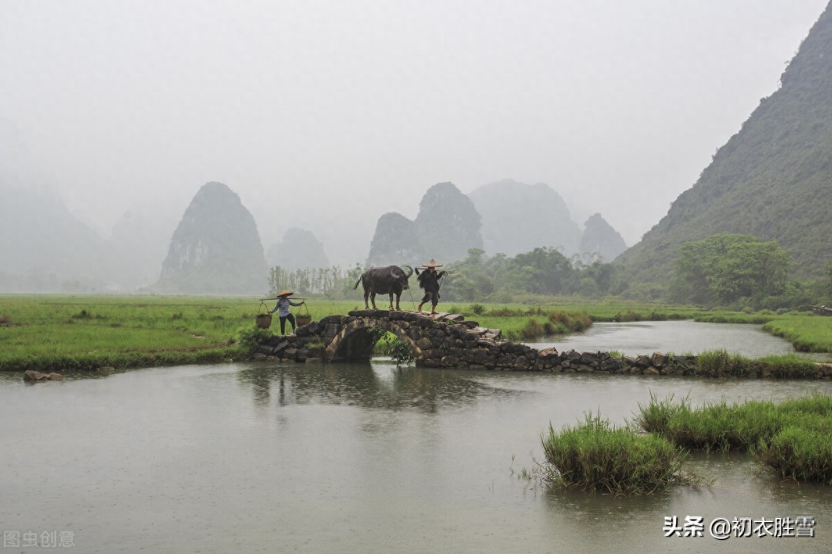 春雨诗词五首赏析（一犁酥润万牛耕，一犁春雨麦青青）