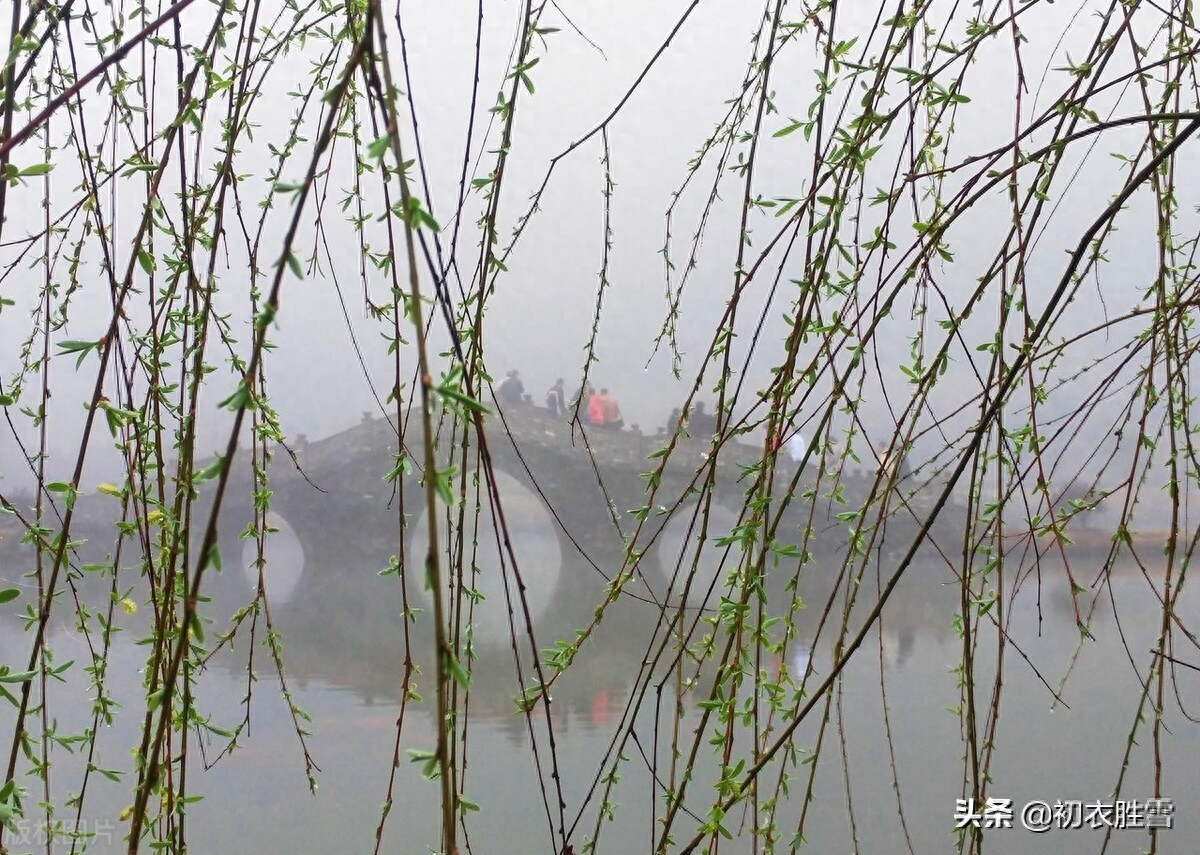 早春唯美诗词有哪些（早春春雨春水古诗四首）