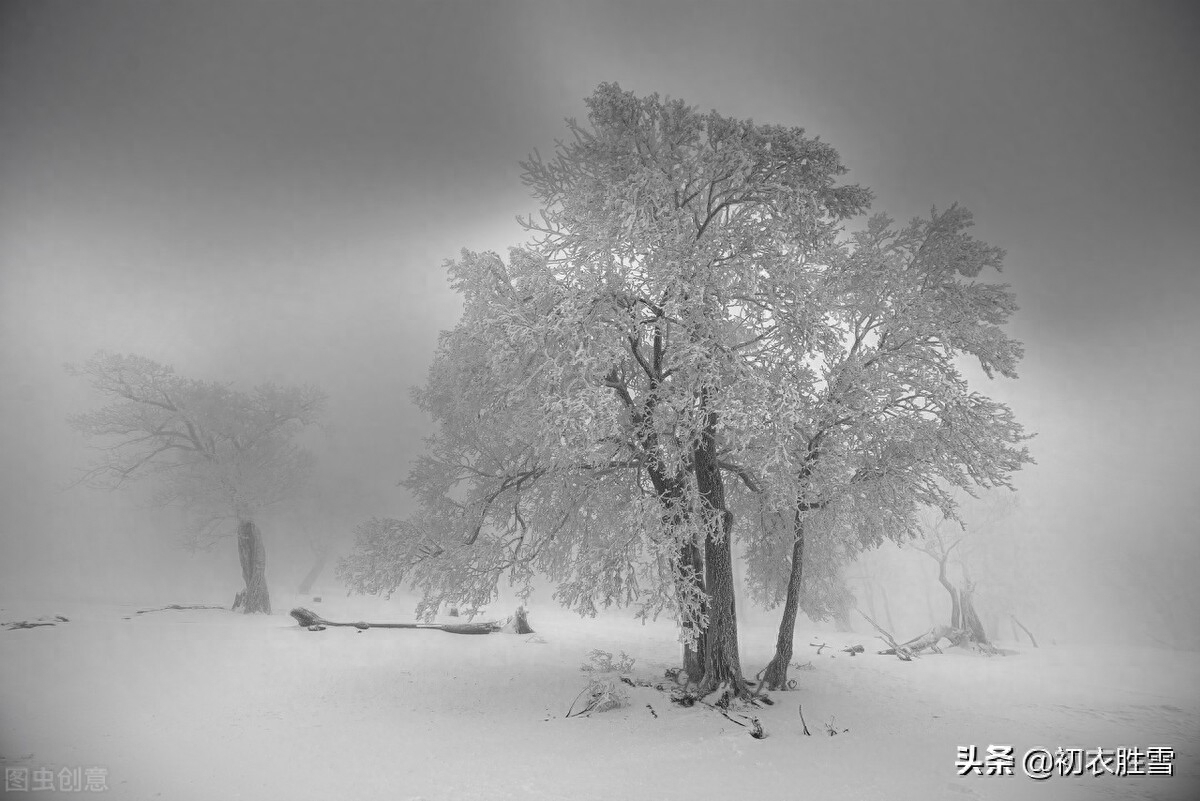 春雪唯美诗词有哪些（唯美春雪唐诗七首）