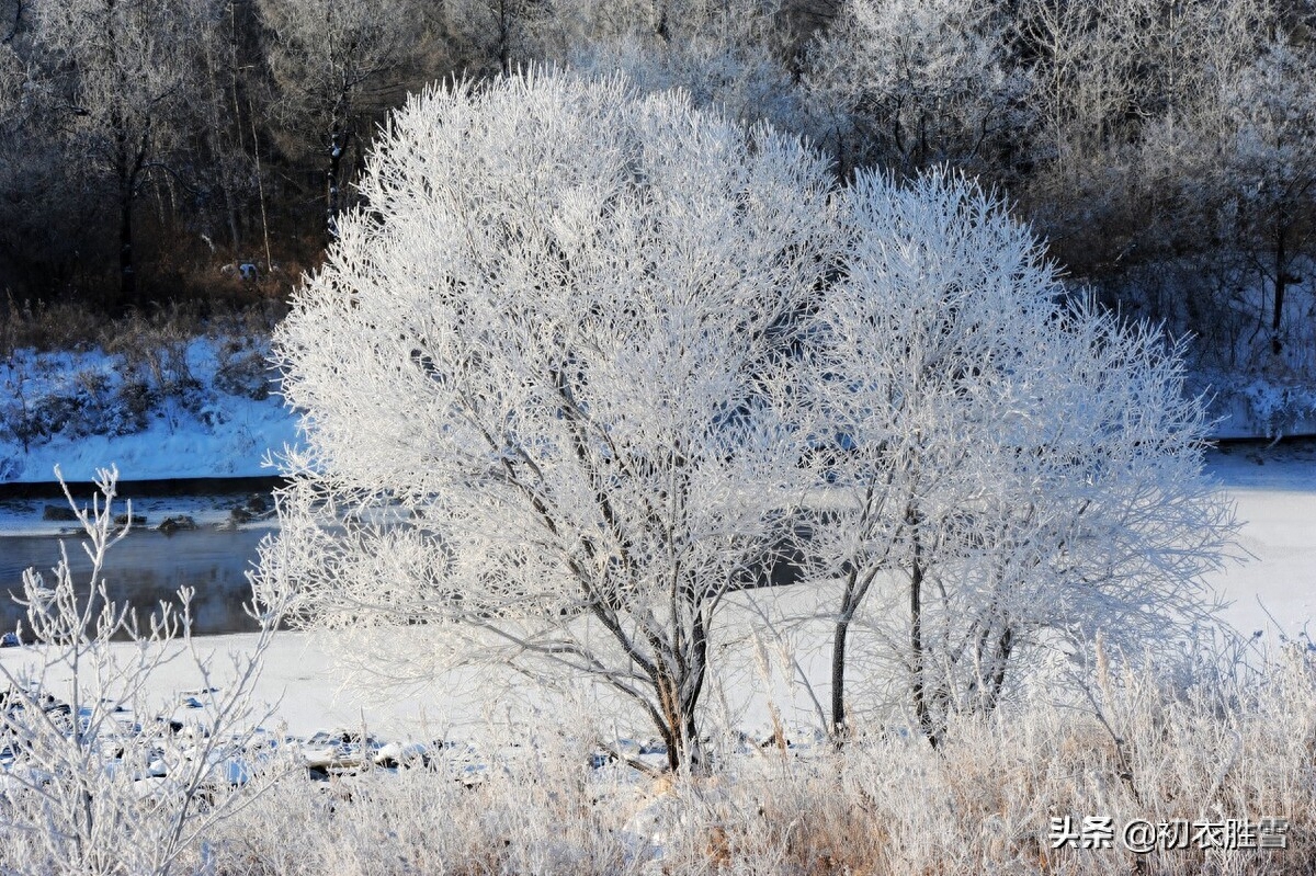 春雪唯美诗词有哪些（唯美春雪唐诗七首）