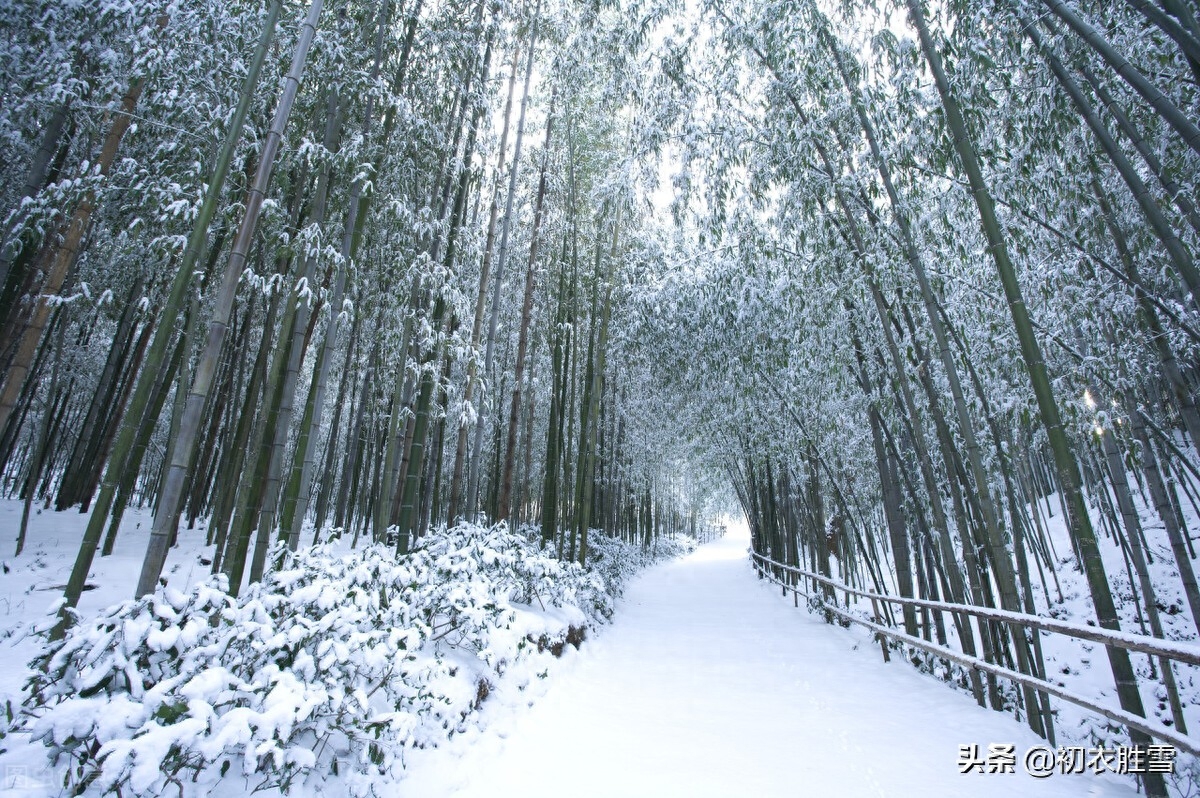 春雪唯美诗词有哪些（唯美春雪唐诗七首）