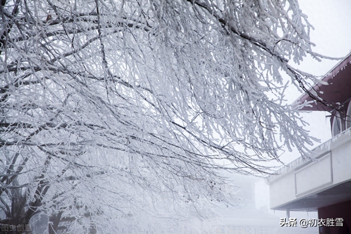 腊雪寒梅的诗句（​腊雪美诗六首）