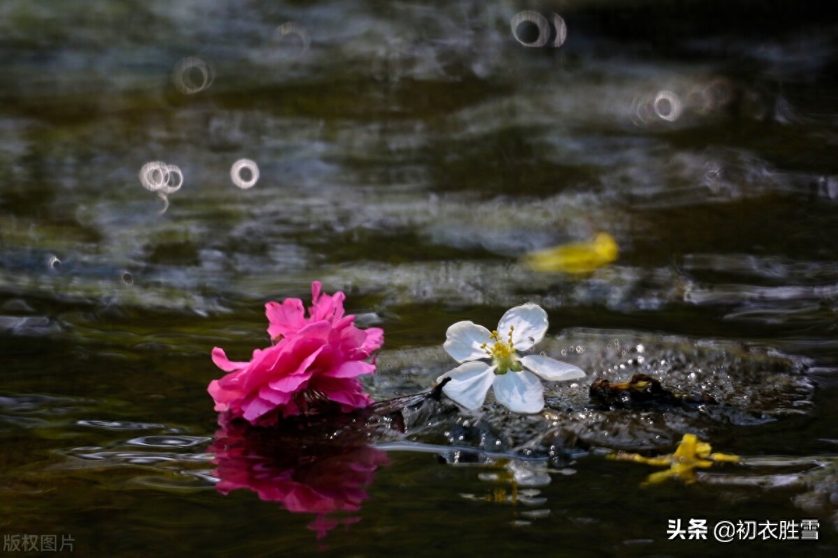 晏几道落花情词两首赏析（相寻梦里路，飞雨落花中）