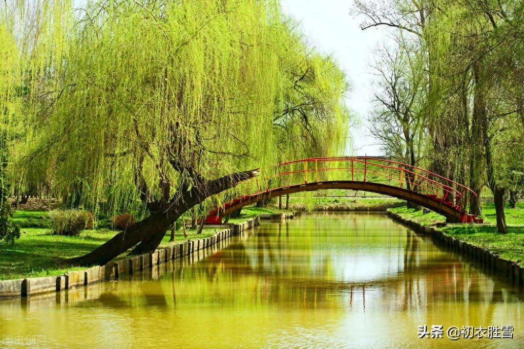 温庭筠春雨情词两首赏析（杨柳又如丝，梦长君不知）