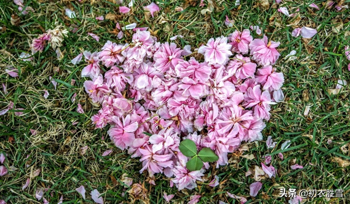 落花诗词古句大全（河水浮落花，为道长相忆）