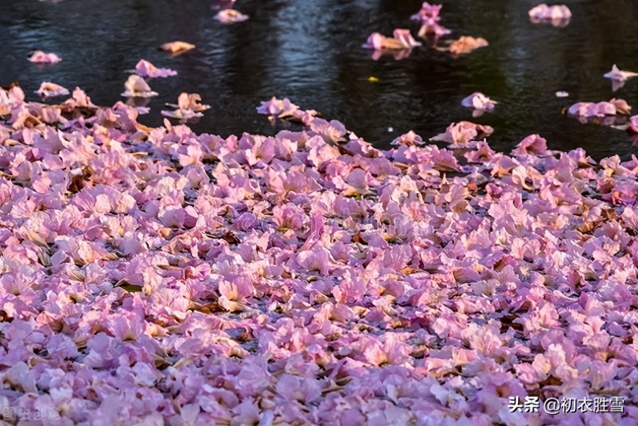 落花诗词古句大全（河水浮落花，为道长相忆）