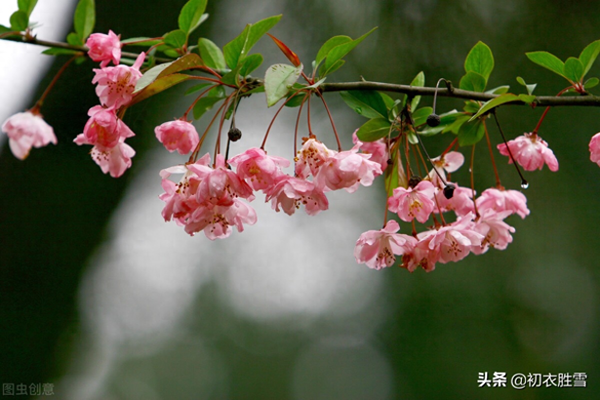 春分诗词古句大全（春分节气春雨美词四首）