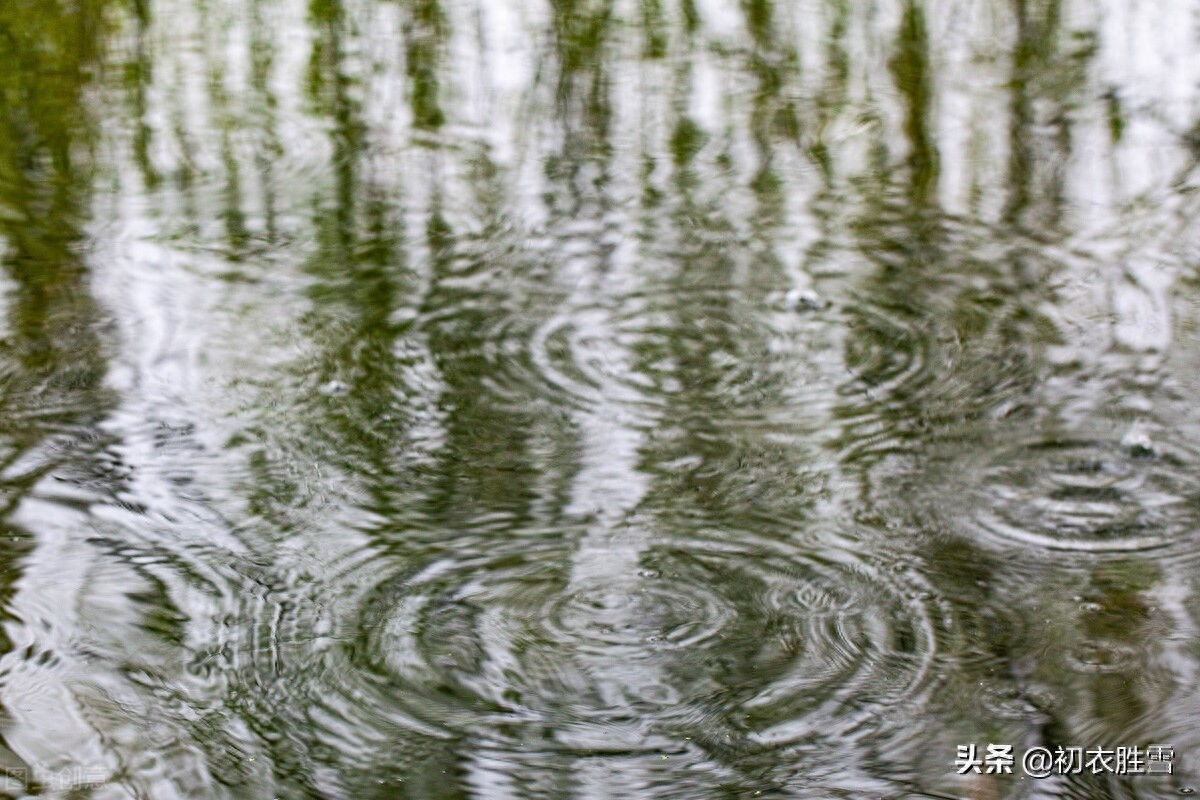 春分节气春雨美诗七首（杏花淹宿雨，时雨及春分）