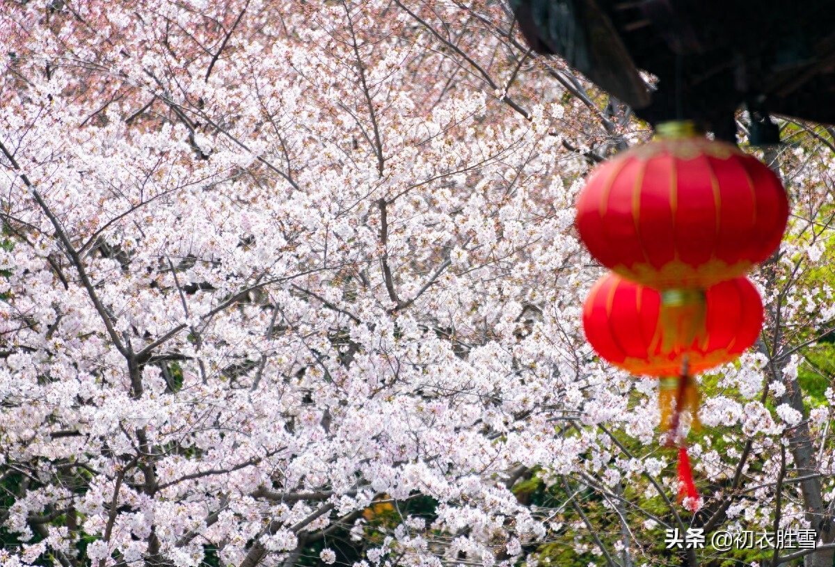 花朝节诗词六首鉴赏（莺花世界春方半，明朝相约看花来）