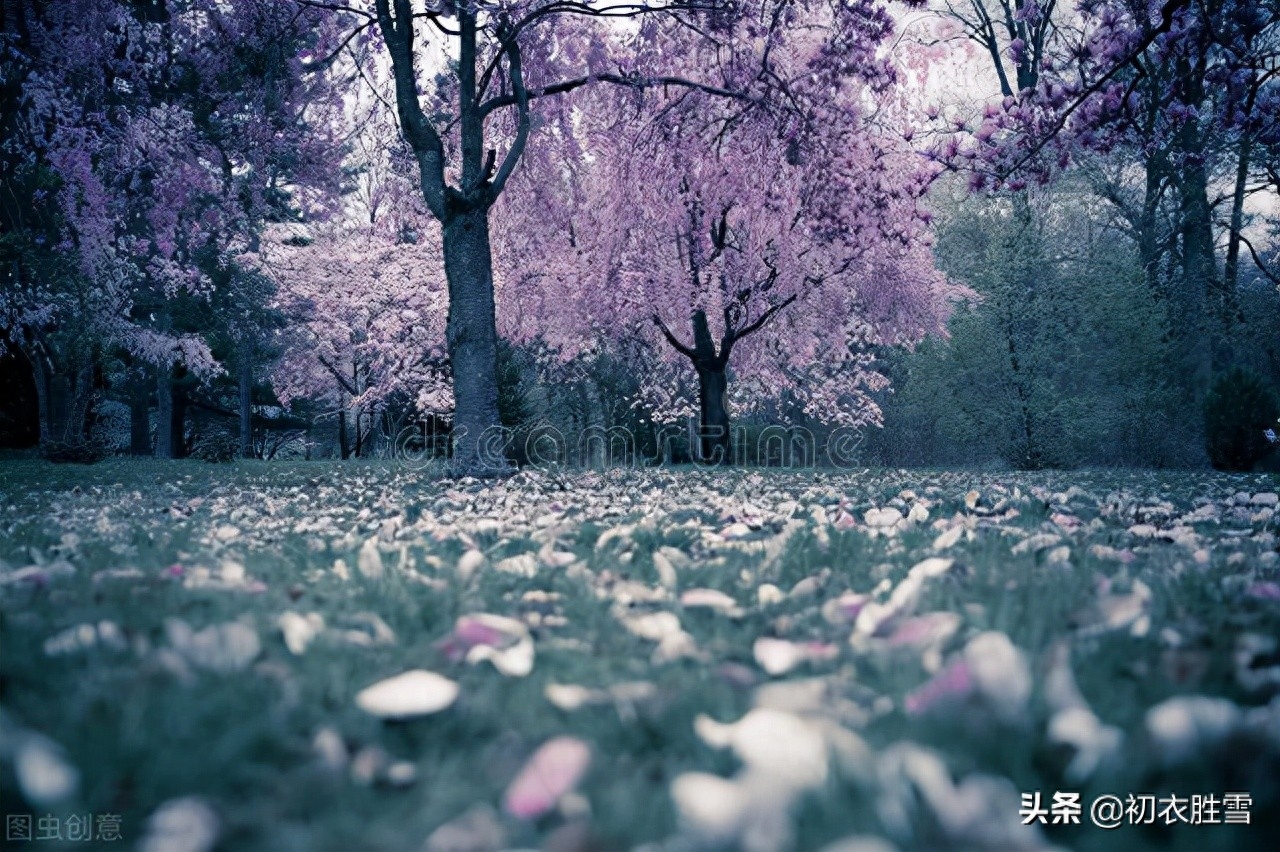 花朝节的诗词古句（长干道上落花朝，花朝月夜动春心）