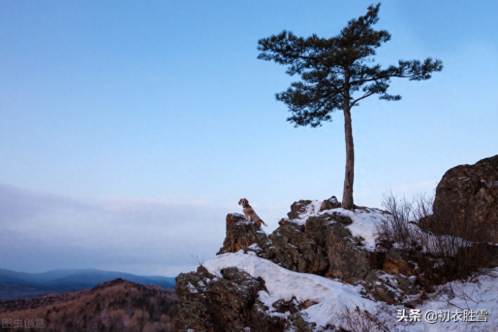 冬至必读爱国古诗两首（江山乏小草，霜雪见孤松）