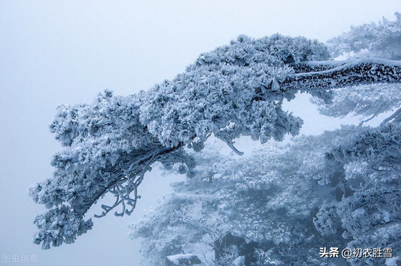 冬至必读爱国古诗两首（江山乏小草，霜雪见孤松）