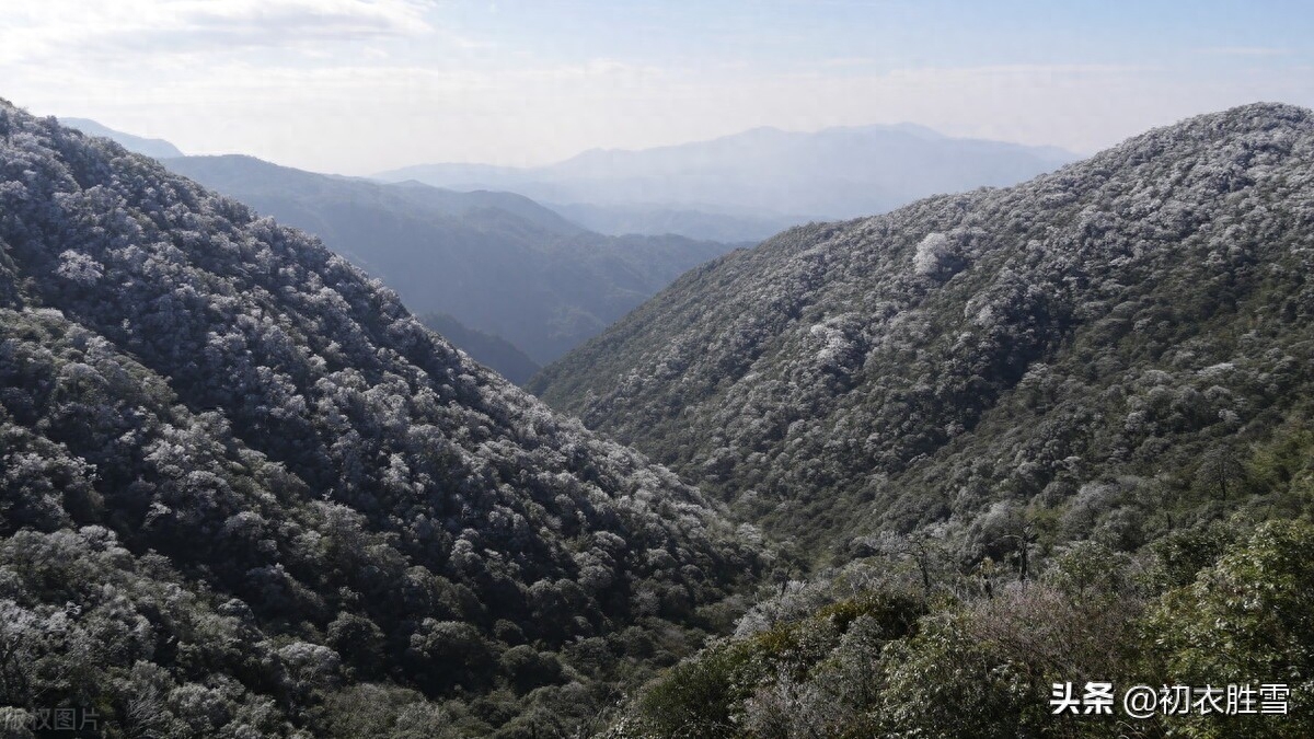 冬至必读爱国古诗两首（江山乏小草，霜雪见孤松）