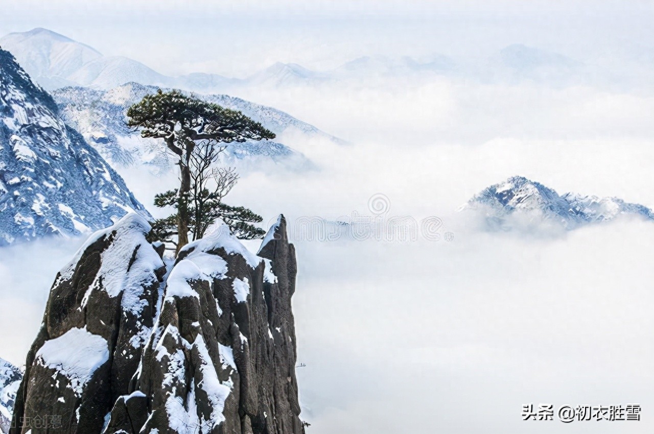 冬至必读爱国古诗两首（江山乏小草，霜雪见孤松）