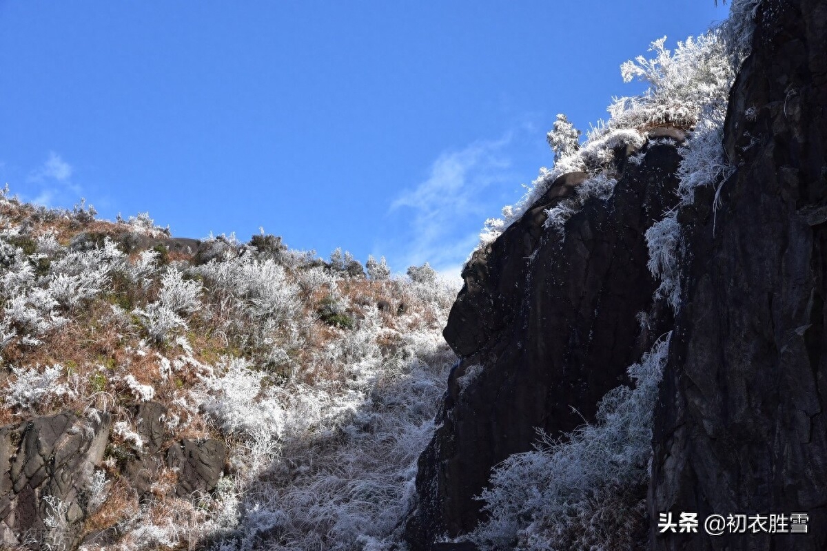 冬至必读爱国古诗两首（江山乏小草，霜雪见孤松）