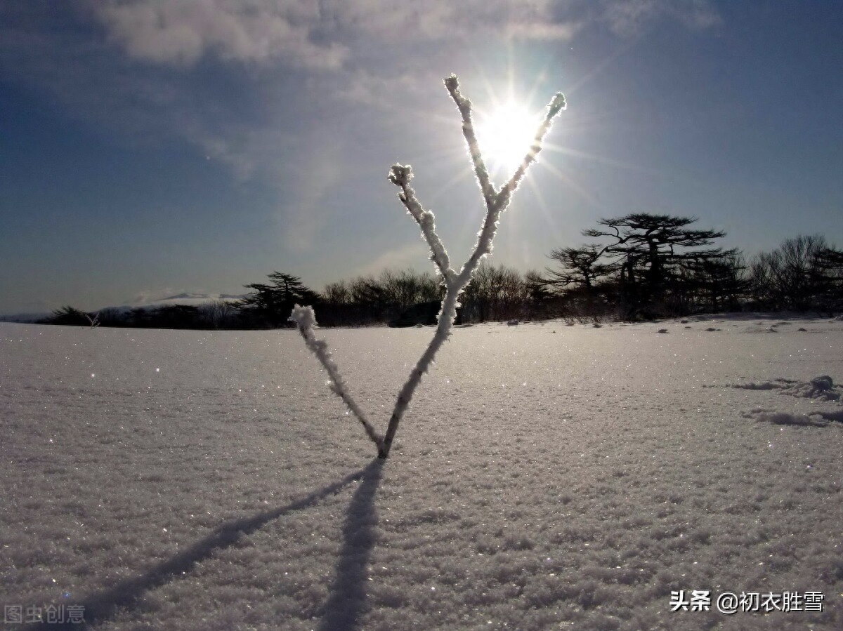 ​冬至节气哲理诗六首赏析（今年初尽处，明日未来时）