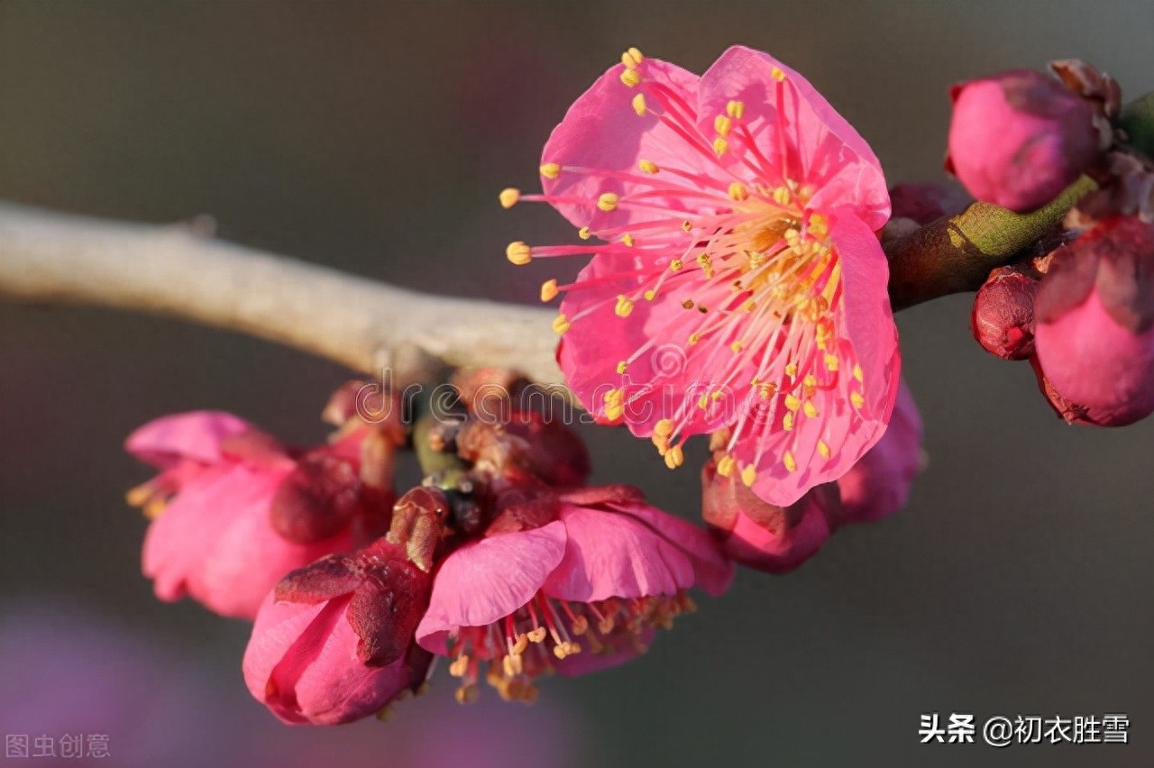 冬至古诗词大全（冬至至后日初长，冬至阳生春又来）