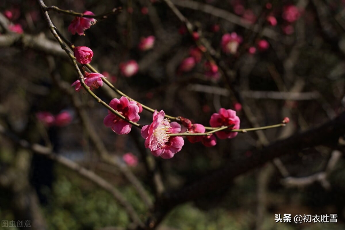 冬至古诗词大全（冬至至后日初长，冬至阳生春又来）