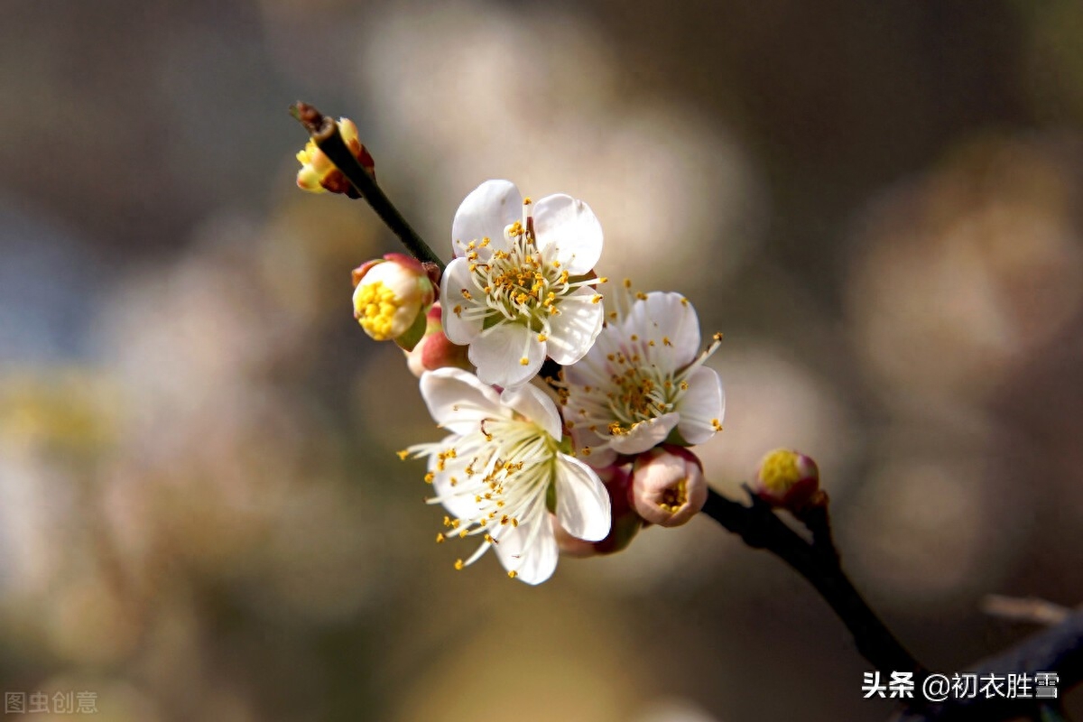 冬至古诗词大全（冬至至后日初长，冬至阳生春又来）