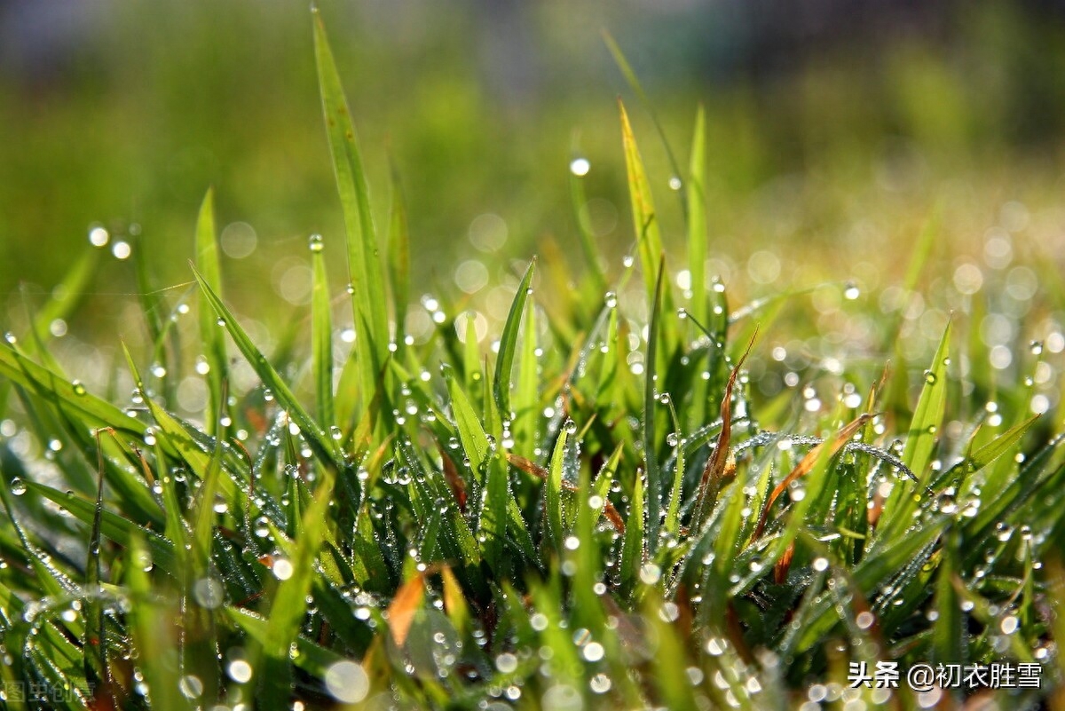 冬雨诗词古句大全（一阵暗香风送到，梅花窗外雨绵绵）