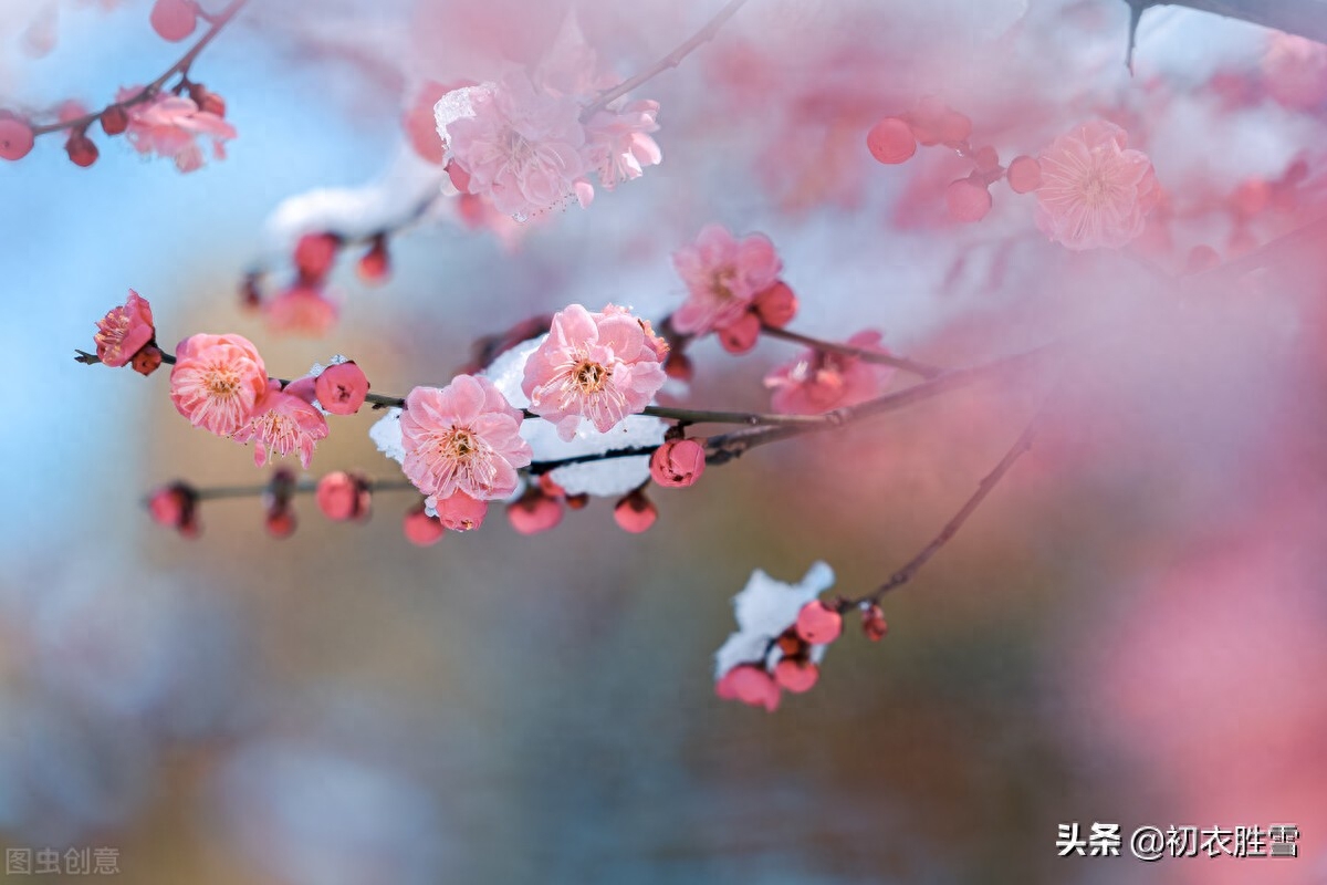 仲冬初雪美诗六首（朔风洒霰雨，共弄初落雪）